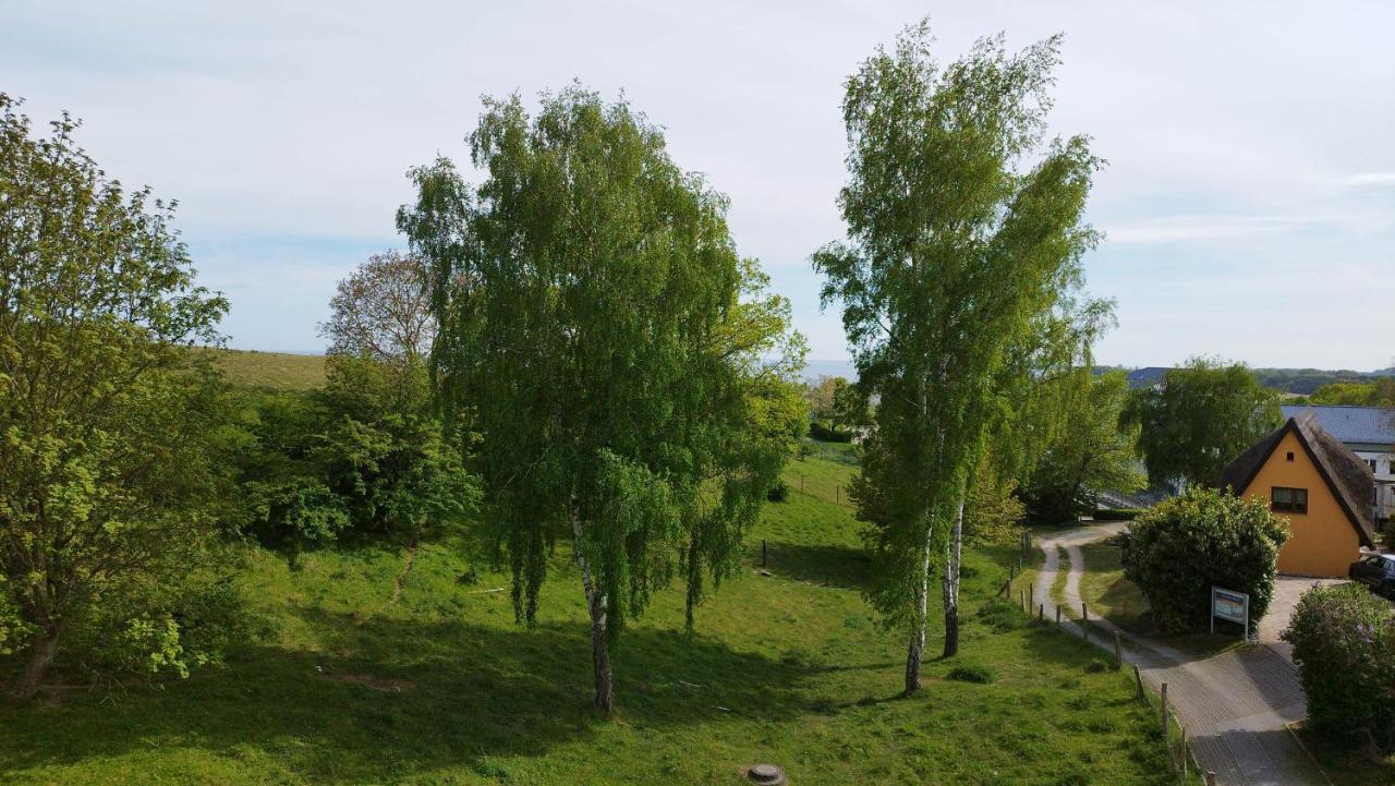 Traumblick Und Komfort - Lichtdurchflutete 85 Qm Wohnung Nahe Suedstrand Goehren Inklusive Schwimmbad Und Sauna Im Ahoi Sellin 외부 사진